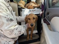 IMG_3695[1].JPG