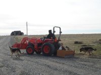 tractor 1.jpg