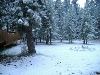 cabin west yard.JPG