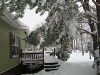 winter 1.jpg