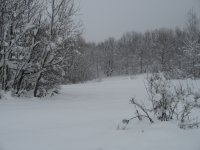 winter 2.jpg