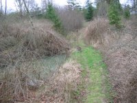 IMG_3704.JPG