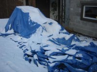 IMG_3661.JPG