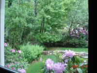 MISC PICS 2 201 (Small).jpg