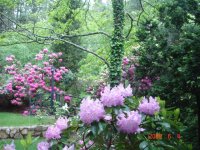 MISC PICS 2 200 (Small).jpg