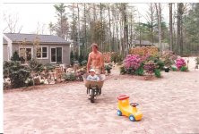 Alex in Wheelbarrow (Small).jpg