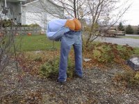 330442-happyfall2.jpg
