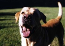 8-67269-ourpal.jpg