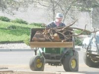 239129-Bucket Of Roots.jpg