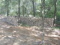 8-189322-WoodpilesB.JPG