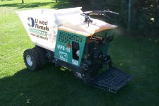 332186-Buggy1.jpg