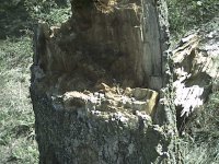 8-69147-Img_0008.jpg