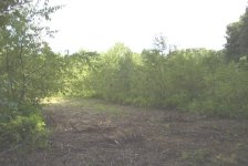 54-189825-PT425BH4.jpg