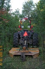 33-69871-JDbrushheight.jpg