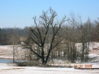 DSCN5159.jpg