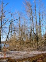 DSCN5183.jpg