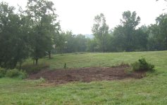 Brush 7.JPG