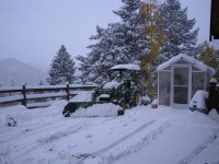 IMG_0772_small.JPG