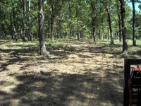plots (7).JPG