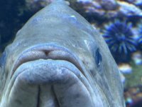 IMG_3751[1].JPG
