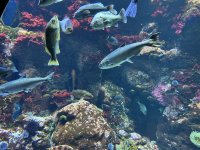 IMG_3732[1].JPG