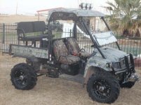 gator1.jpg