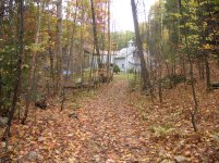 house from trail.jpg