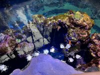 IMG_3727[1].JPG