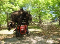 IMG_0024.jpg