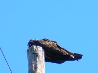 DSCN2007.JPG