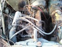 downsized_0314091759a.jpg