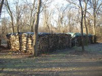 DSCN0709.JPG