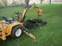 stump2.jpg