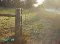 PICT0185.jpg