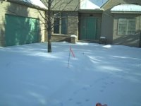no place to pile snow.jpg
