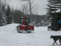 IMG_0588 [800x600].JPG