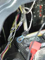 DSC01201.JPG