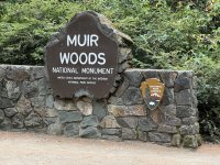 IMG_3798[1].JPG