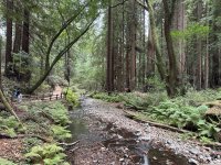 IMG_3805[1].JPG