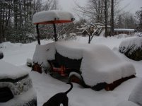 12-20-08 snow 001.jpg