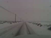 12-17-08_1505.jpg