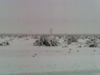 12-17-08_1504.jpg