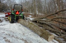 823301-logging2.JPG
