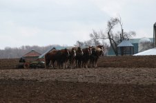 DSC_0092_1.jpg