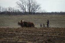 DSC_0095_1.jpg
