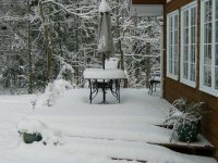 Nov 10 08 snow-2.jpg