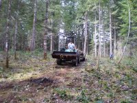 coming down the hill.JPG