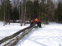 Loggin with the Kioti 002.jpg