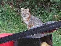 IMG_0386.JPG