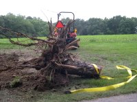 STUMP.JPG